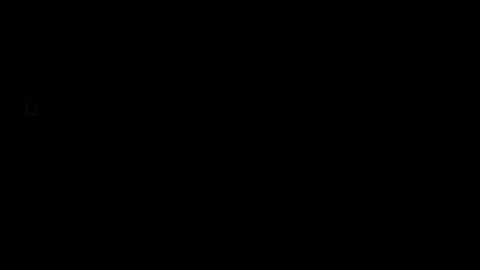 33602