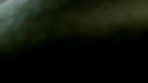 48224